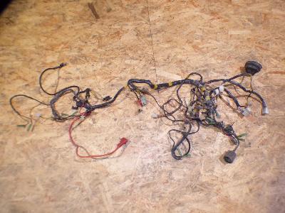 faisceau électrique