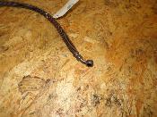 durite de frein 39 cm