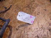 faisceau électrique homologué