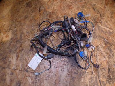 faisceau électrique homologué