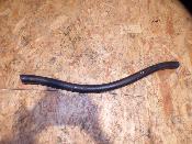 durite de refroidissement