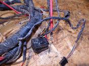 faisceau électrique homologué