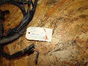 faisceau électrique homologué