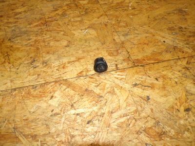 bouton