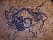 faisceau électrique homologué